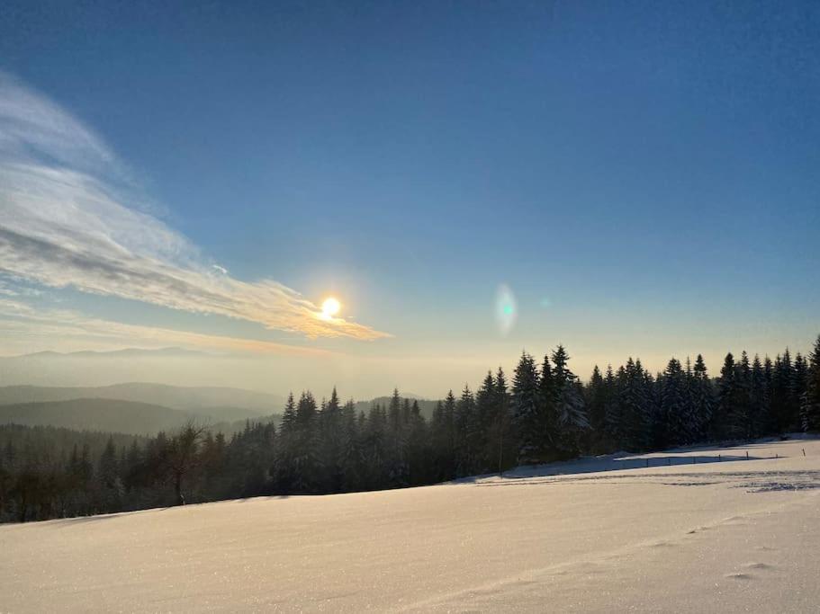 הוילה Bogdanowka Blizej Nieba Koskowa Gora מראה חיצוני תמונה