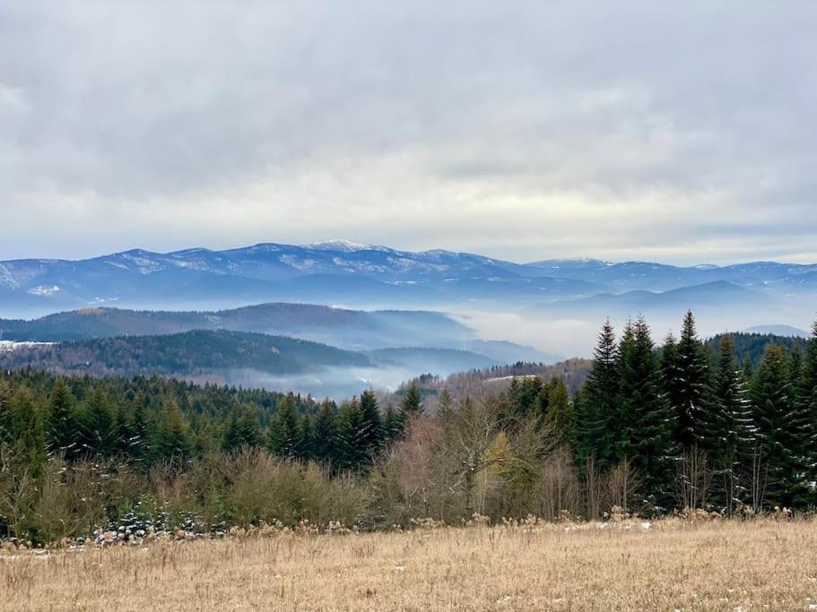 הוילה Bogdanowka Blizej Nieba Koskowa Gora מראה חיצוני תמונה